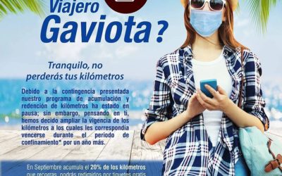 ¿Eres Viajero Gaviota? En Septiembre viaja y acumula el 20% de lo que recorras.