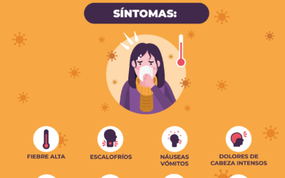 ¡Prótegete! Todo lo que debes saber sobre la Fiebre Amarilla
